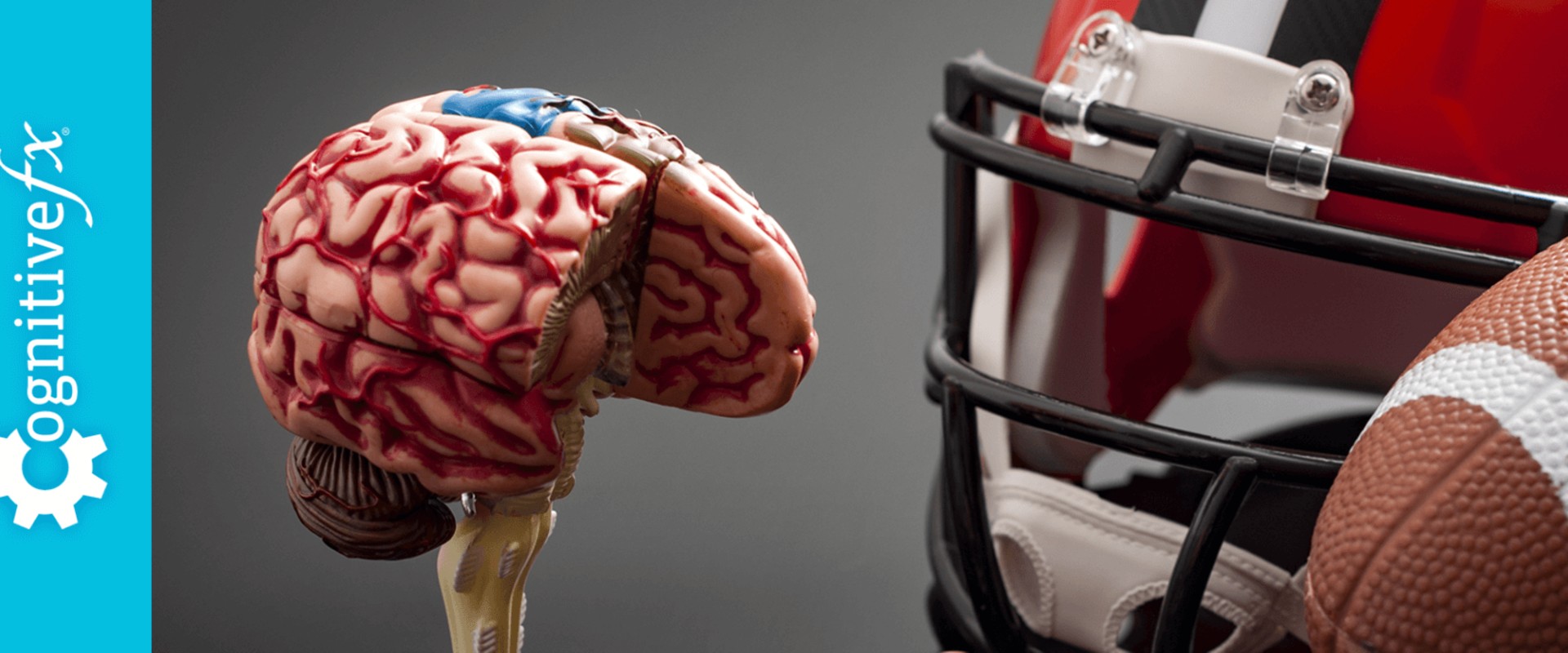 The Long-Term Effects of Head Injuries: What You Need to Know